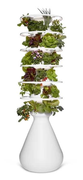 Vertical garden in white planter.