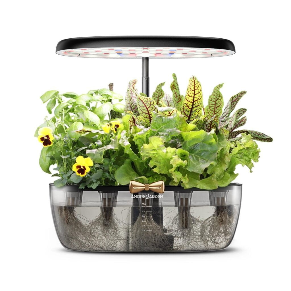 Transparent Smart Garden Review
